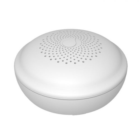 Détecteur d'inondation GS156 Funk / WIFI